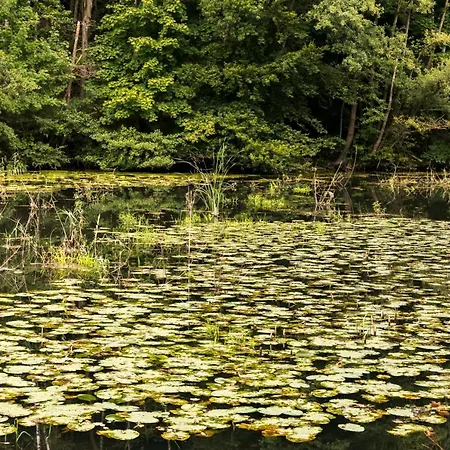 Waldesruh Am 3* Aumühle