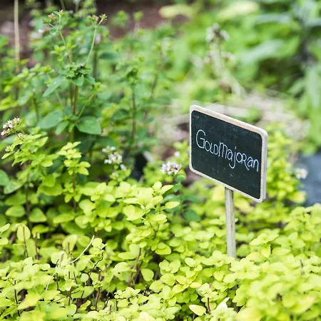 Waldesruh Am Hotel 3*