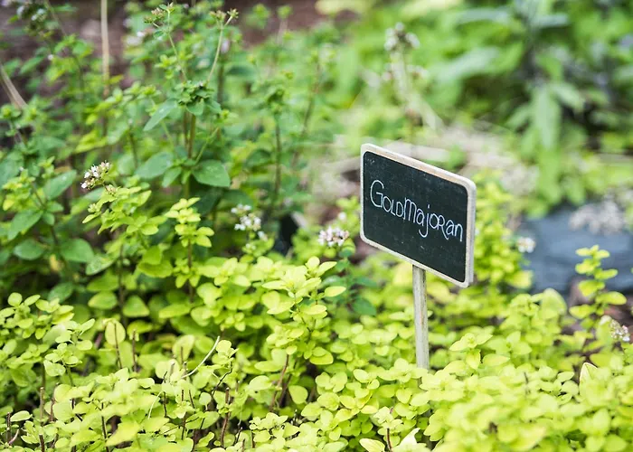 Waldesruh Am Hotel 3*